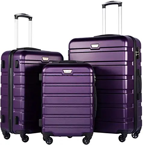 Purple Rolling Luggage Set